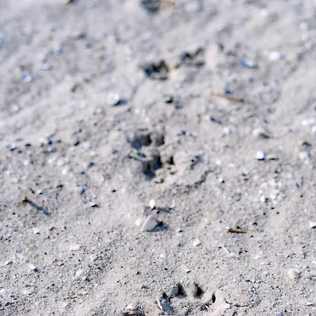 Graftkieker 49 1 S Apartment