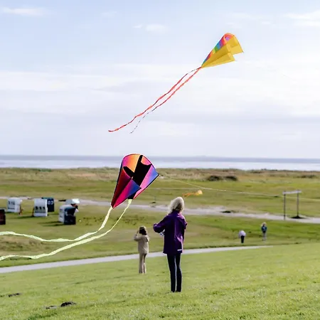 Graftkieker 49 1 S Schillig