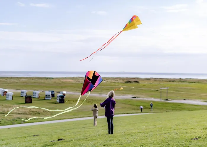 Graftkieker 49 1 S 西里格